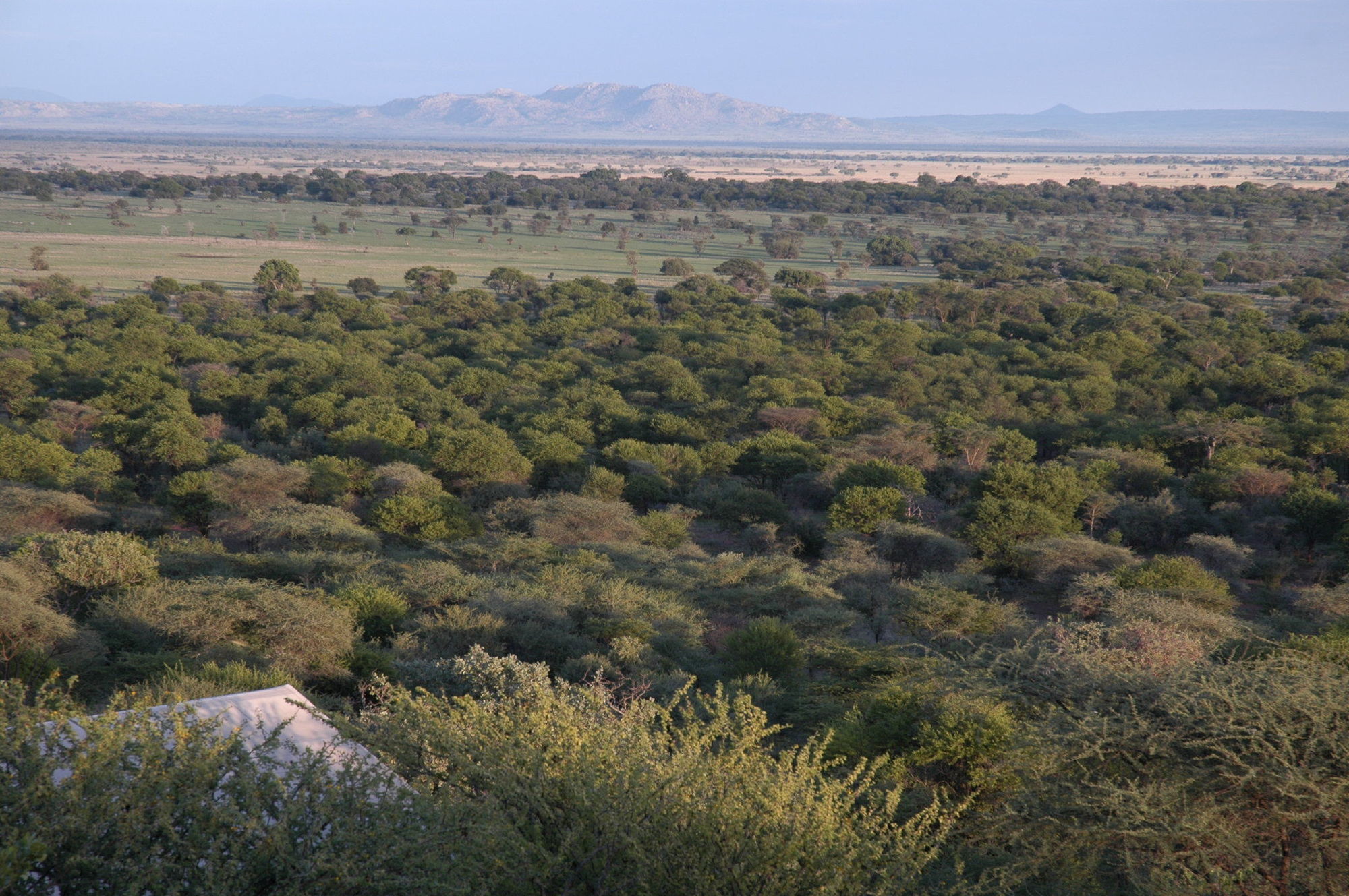 Kirawira Serena Camp Robanda Dış mekan fotoğraf